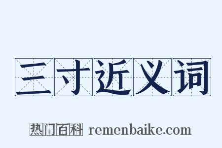 三寸近义词是什么意思的图片